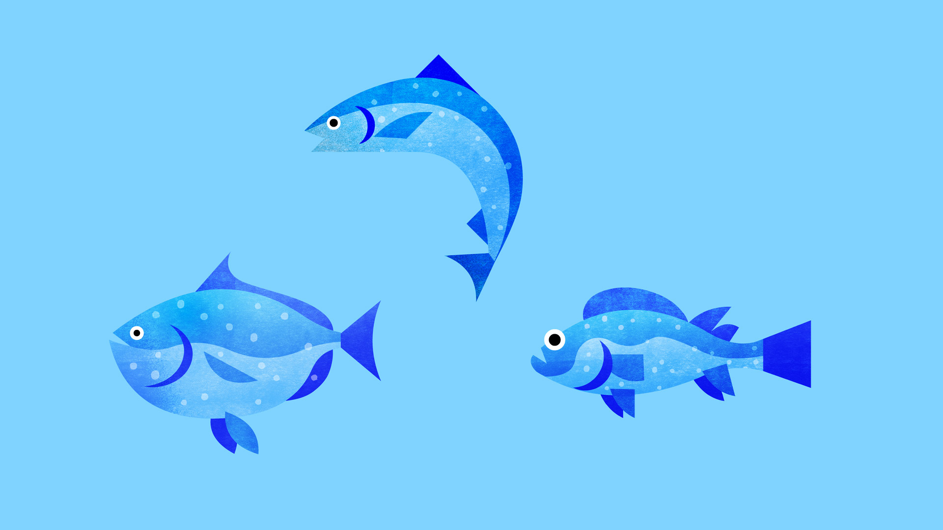 02_fish