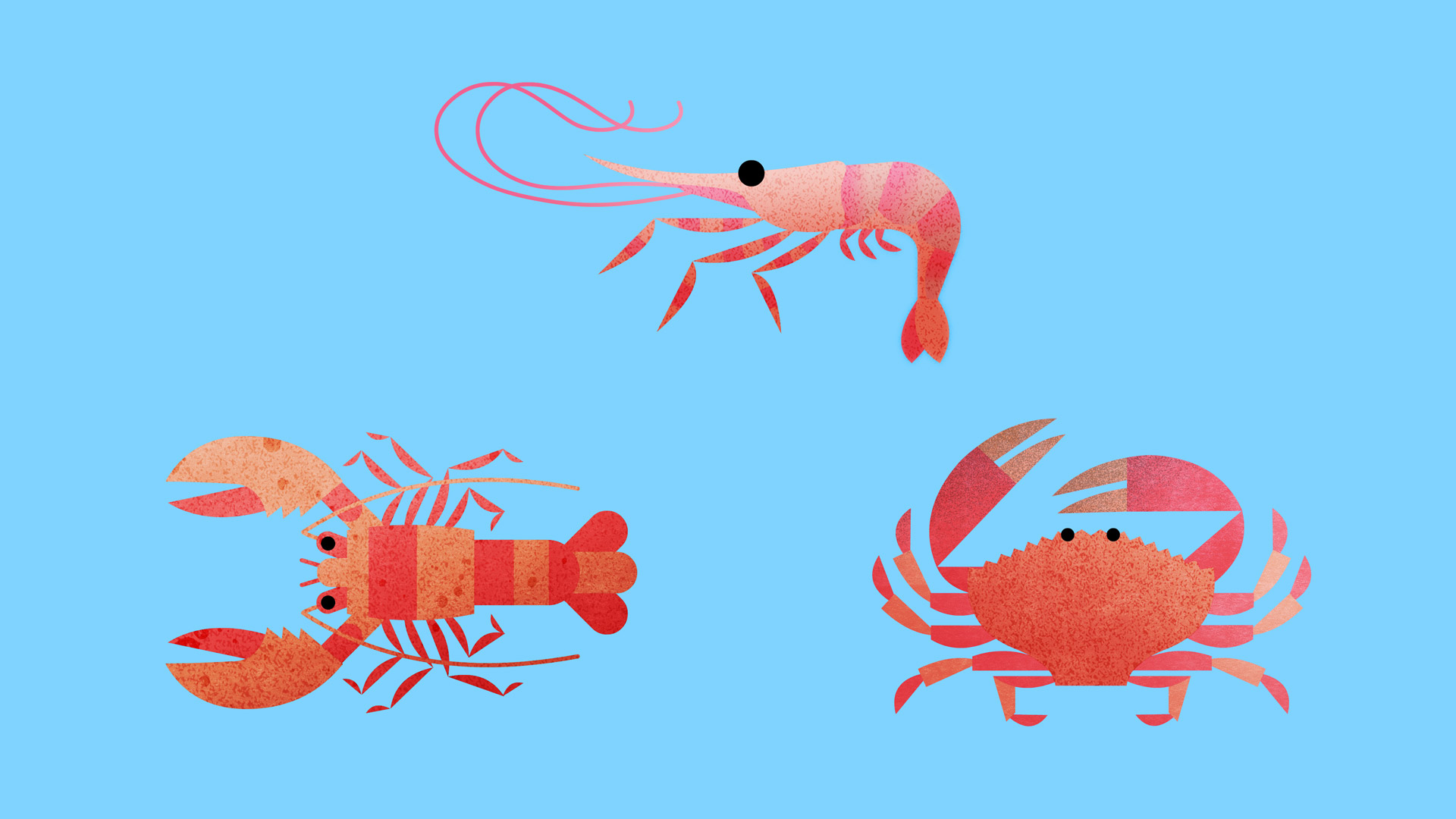 03_shellfish