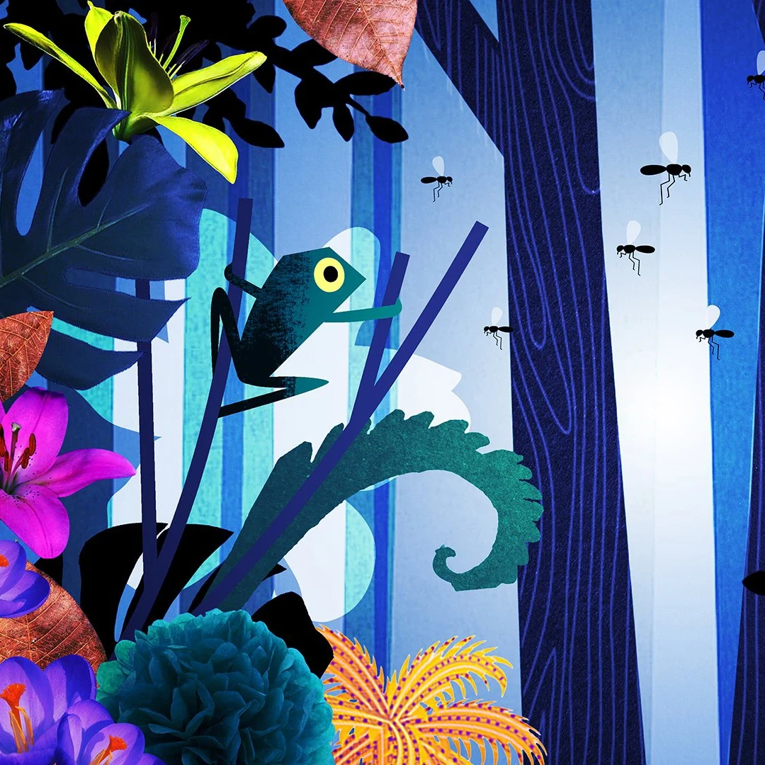headspace_frog